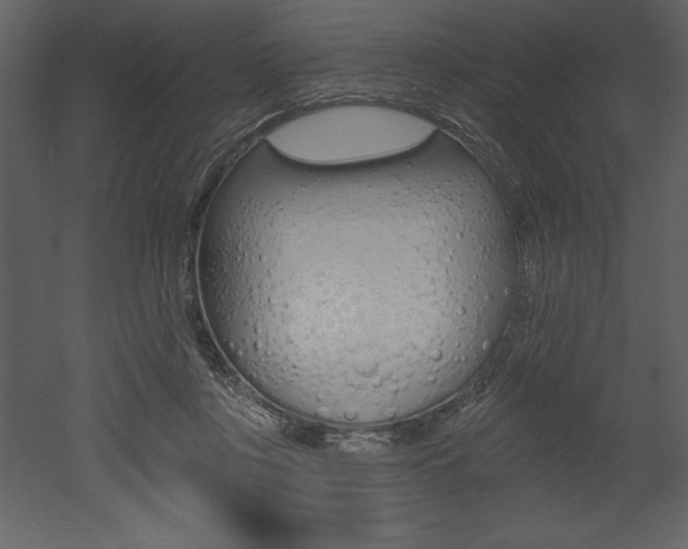 X0000053000359200507081001