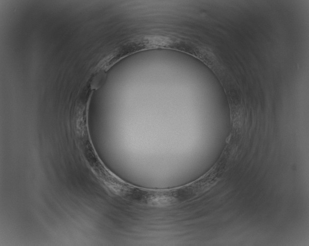 X0000053000360200507081001