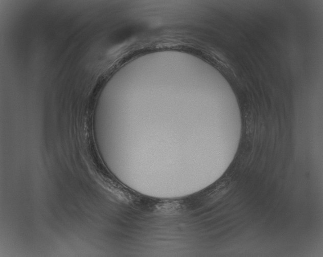 X0000053000362200507081001