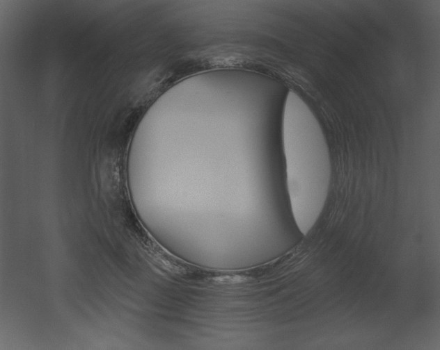 X0000053000363200507081001