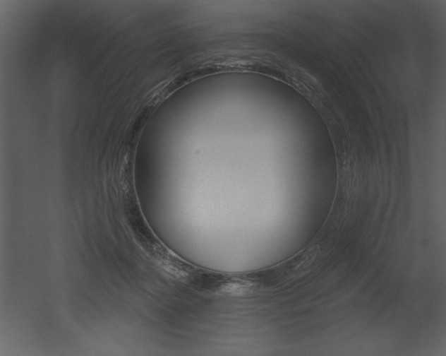 X0000053000364200507081001