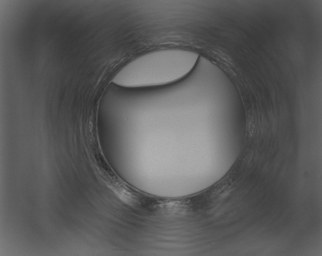 X0000053000365200507081001
