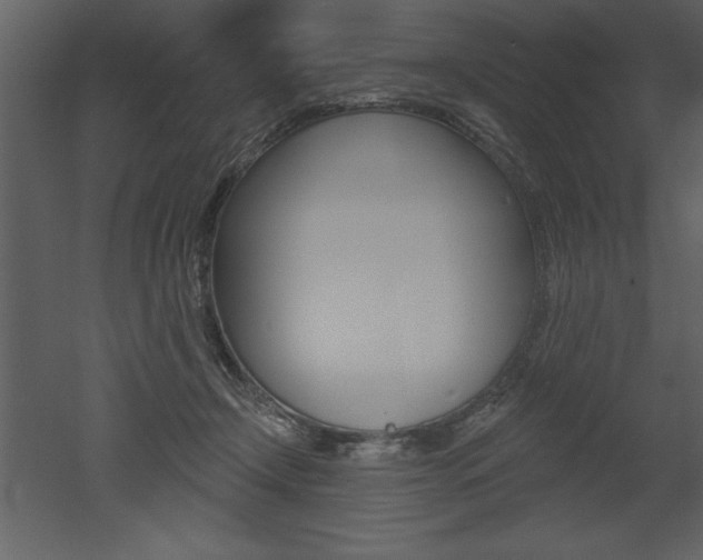 X0000053000366200507081001