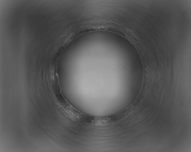 X0000053000368200507081001