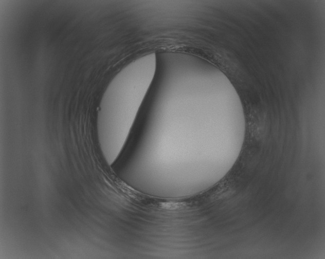 X0000053000371200507081001