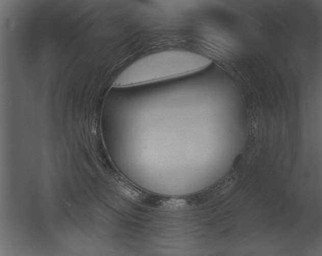 X0000053000374200507081001