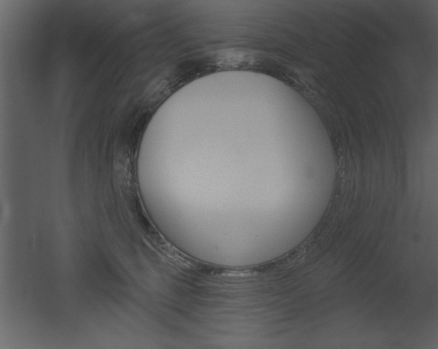 X0000053000375200507081001