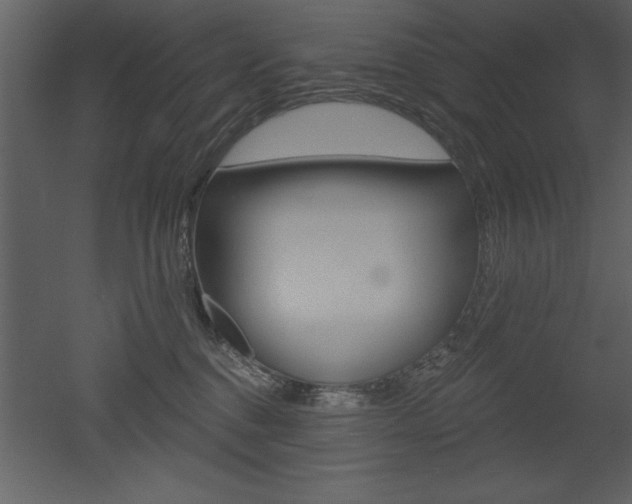 X0000053000376200507081001