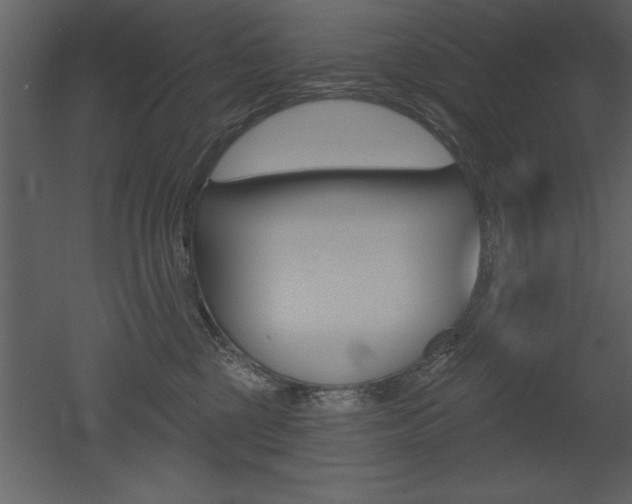 X0000053000377200507081001