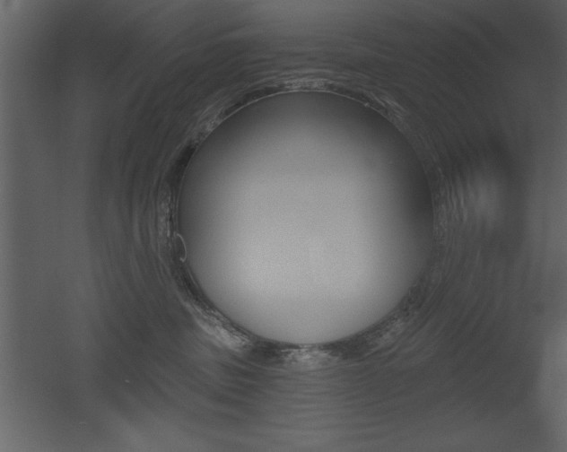 X0000053000379200507081001