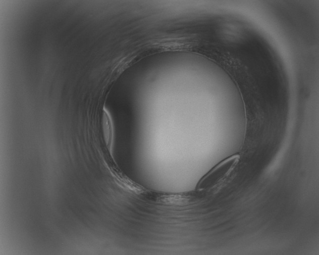 X0000053000383200507081002
