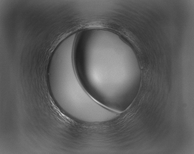 X0000053000385200507081001