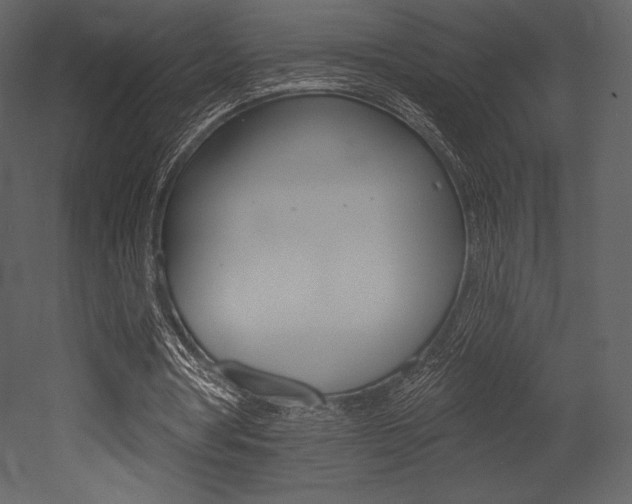 X0000053000386200507081001