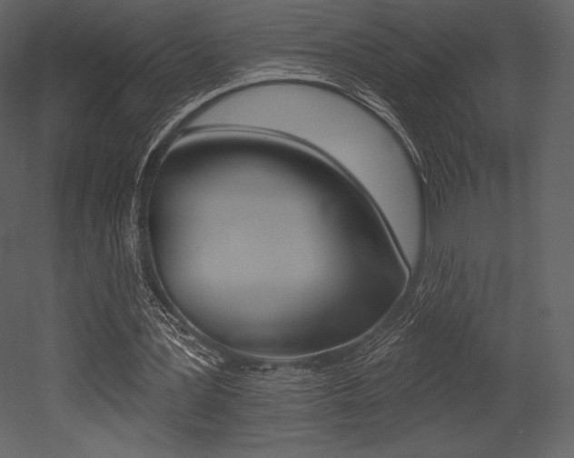 X0000053000387200507081001