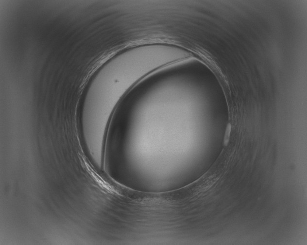 X0000053000389200507081001