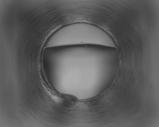 X0000053000390200507081001