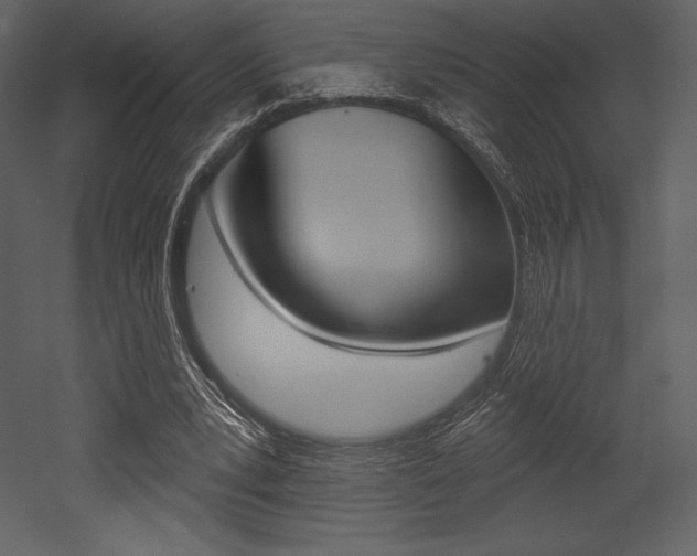 X0000053000391200507081001