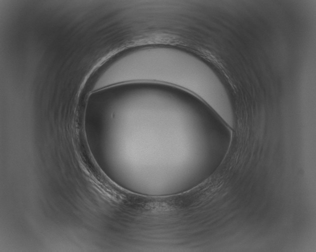 X0000053000392200507081001