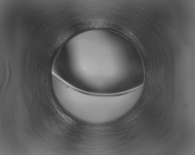X0000053000393200507081001