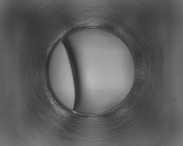 X0000053000394200507081001