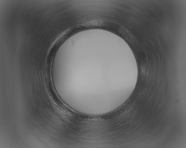 X0000053000396200507081001