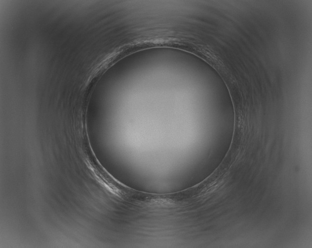 X0000053000397200507081001