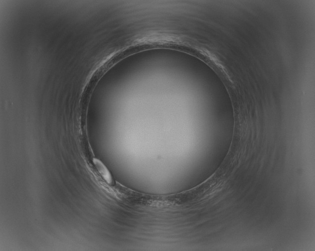 X0000053000399200507081000