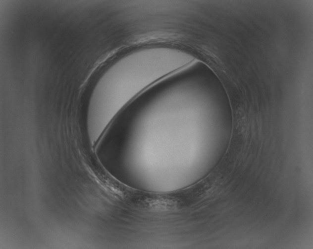 X0000053000400200507081000