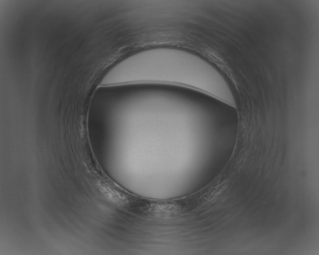 X0000053000401200507081000