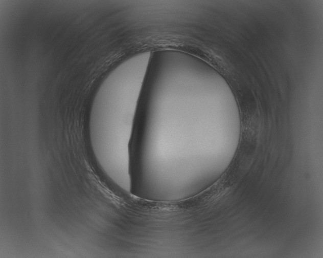 X0000053000402200507081000