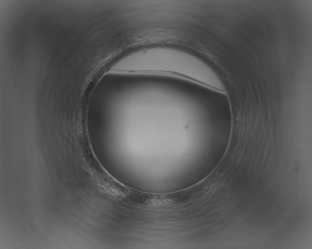X0000053000403200507081000
