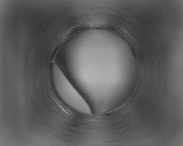X0000053000405200507081000