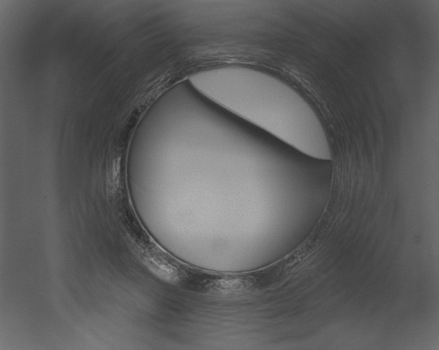X0000053000406200507081000