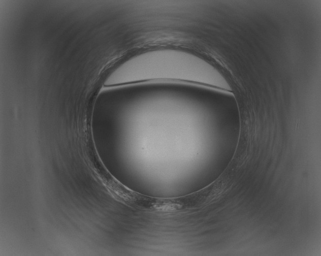 X0000053000407200507081000