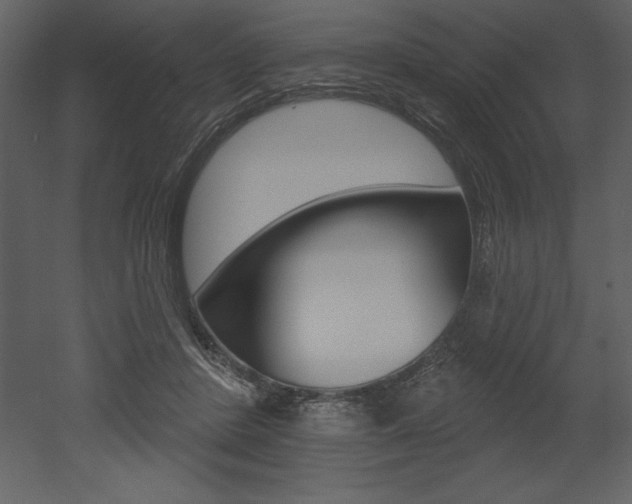 X0000053000408200507081000