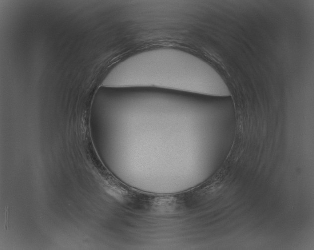 X0000053000410200507081000