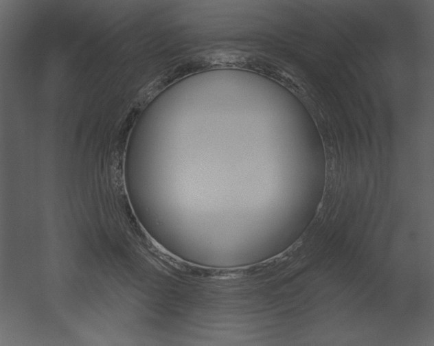 X0000053000411200507081000
