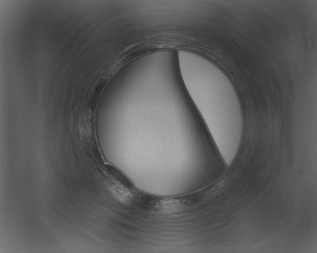 X0000053000413200507081000