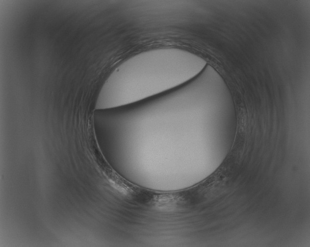 X0000053000414200507081000
