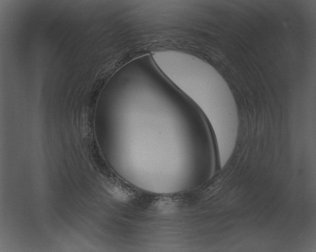 X0000053000416200507081000