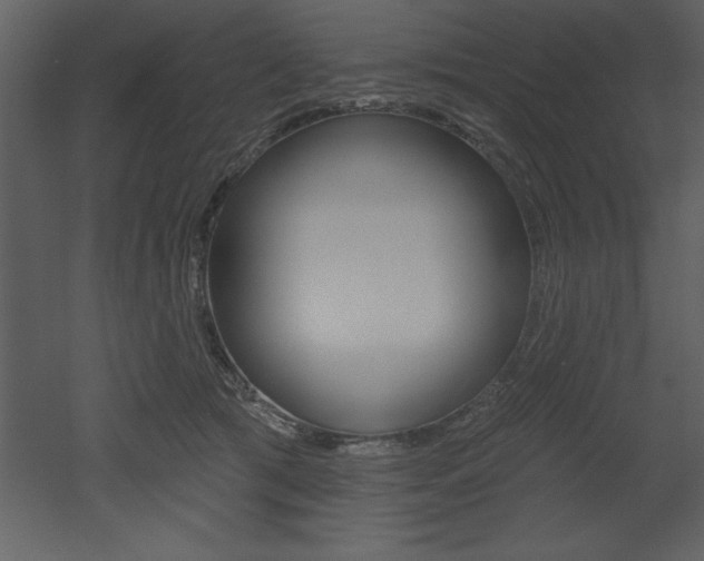 X0000053000417200507081000