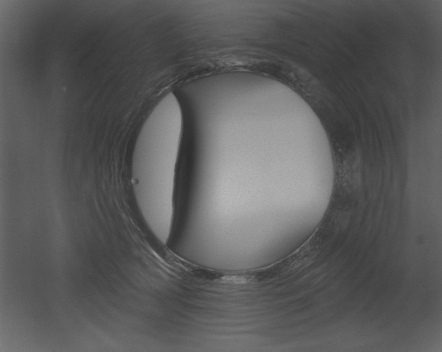 X0000053000418200507081000