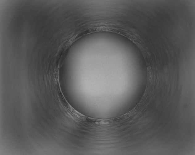 X0000053000419200507081000