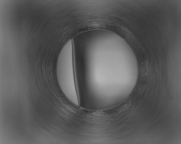 X0000053000420200507081000