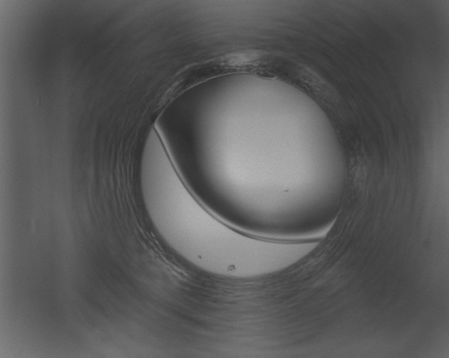 X0000053000421200507081000
