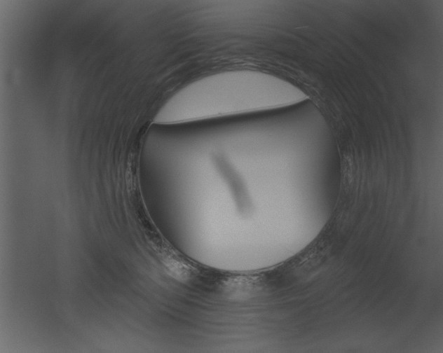 X0000053000422200507081000