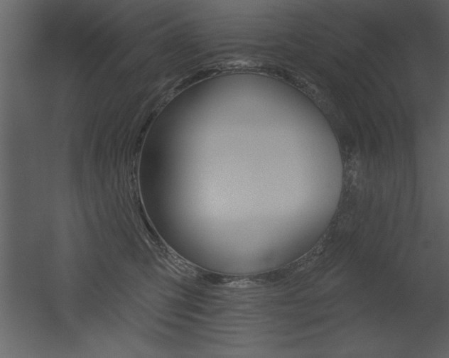 X0000053000423200507081000