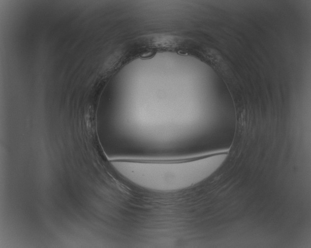 X0000053000424200507081000