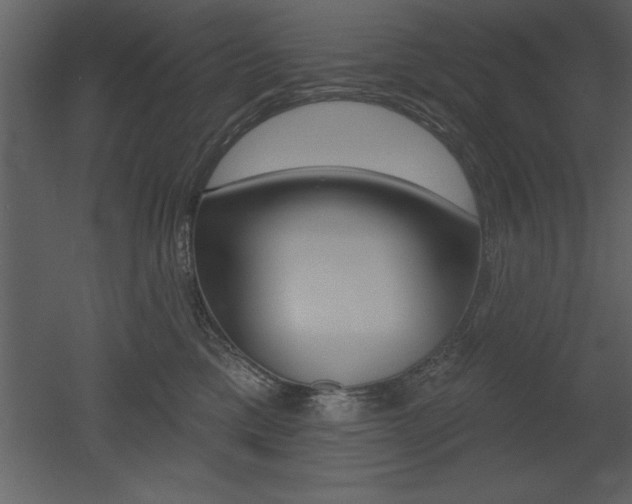 X0000053000425200507081000