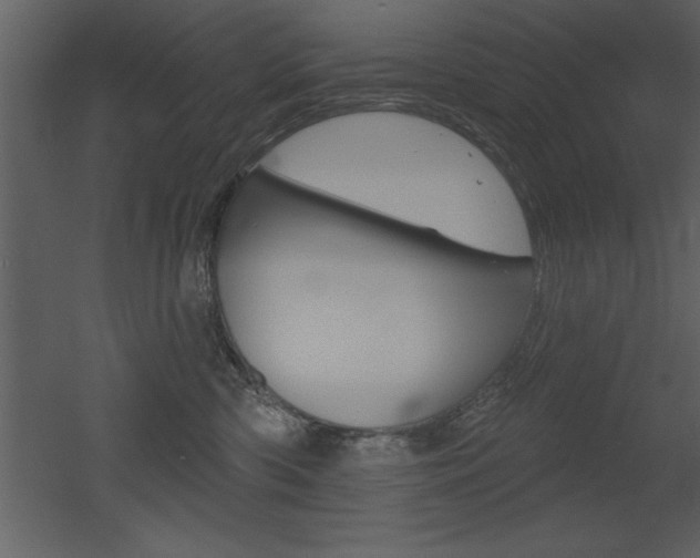 X0000053000426200507081000